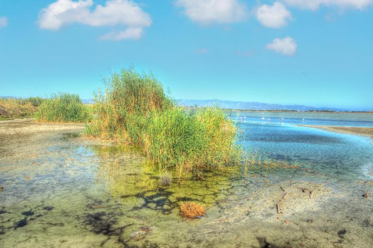 Zen Beach Home Quartu SantʼElena Exteriér fotografie